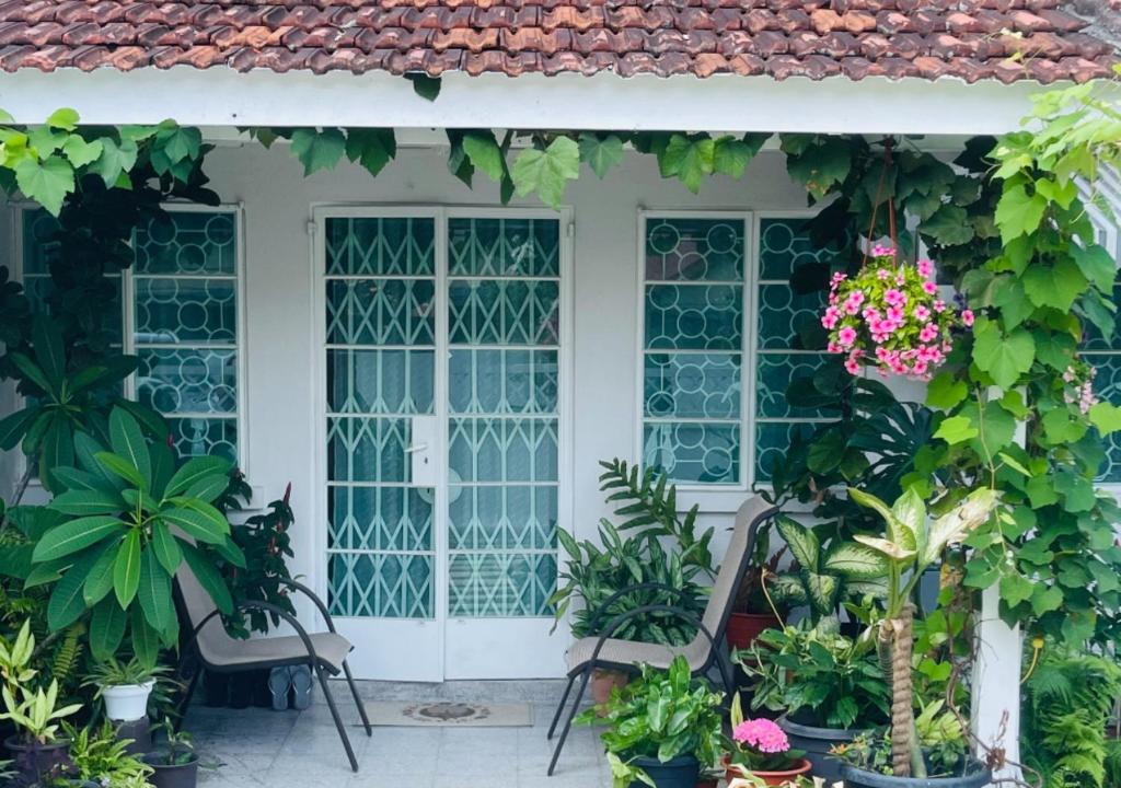 d'une terrasse avec des plantes, des chaises et des fenêtres. dans l'établissement British Granny's Cottage in Penang Island, à Jelutong