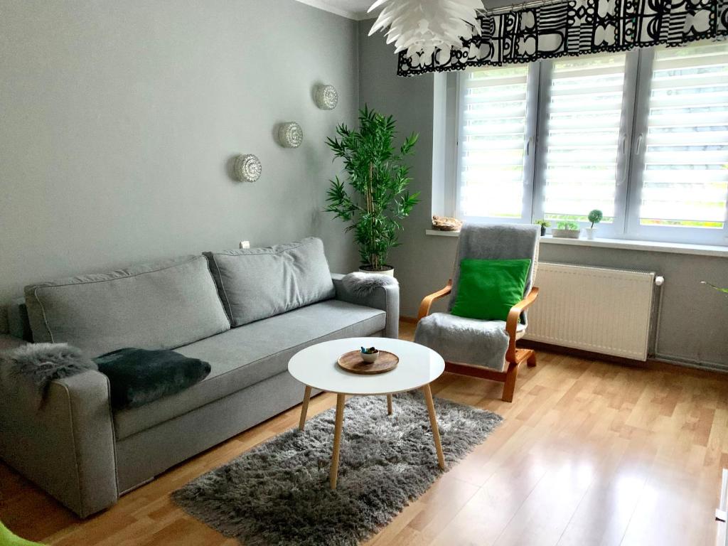 a living room with a couch and a table at Apartament Joanna parter blisko Rynku, Onkologii i strefy ekonomicznej in Gliwice