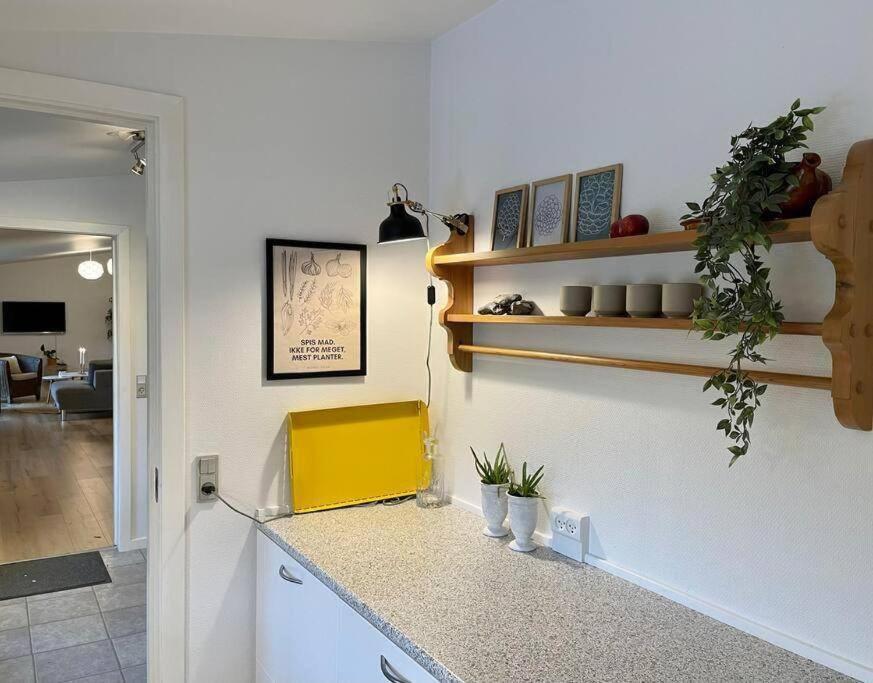 Kuchyň nebo kuchyňský kout v ubytování Pia´s Guesthouse