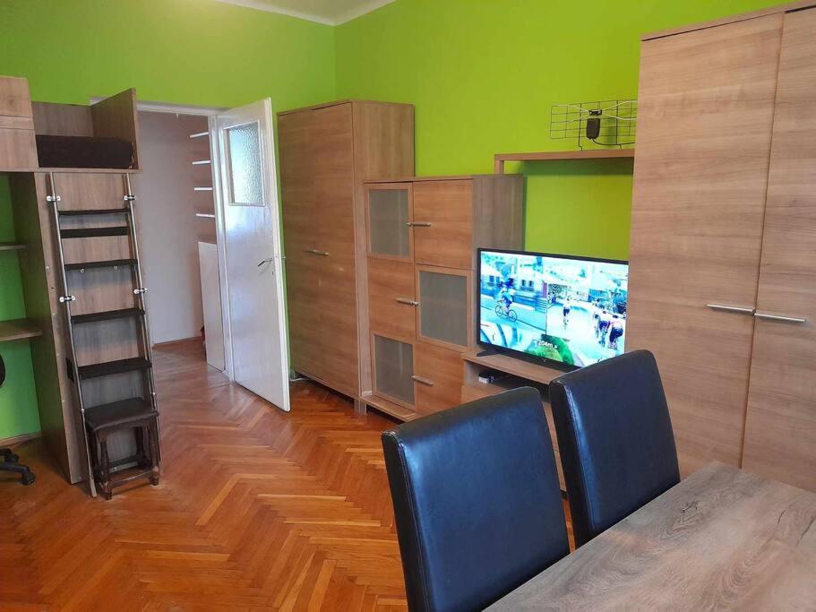 a living room with green walls and a television at Mieszkanie Warszawska 5 in Giżycko