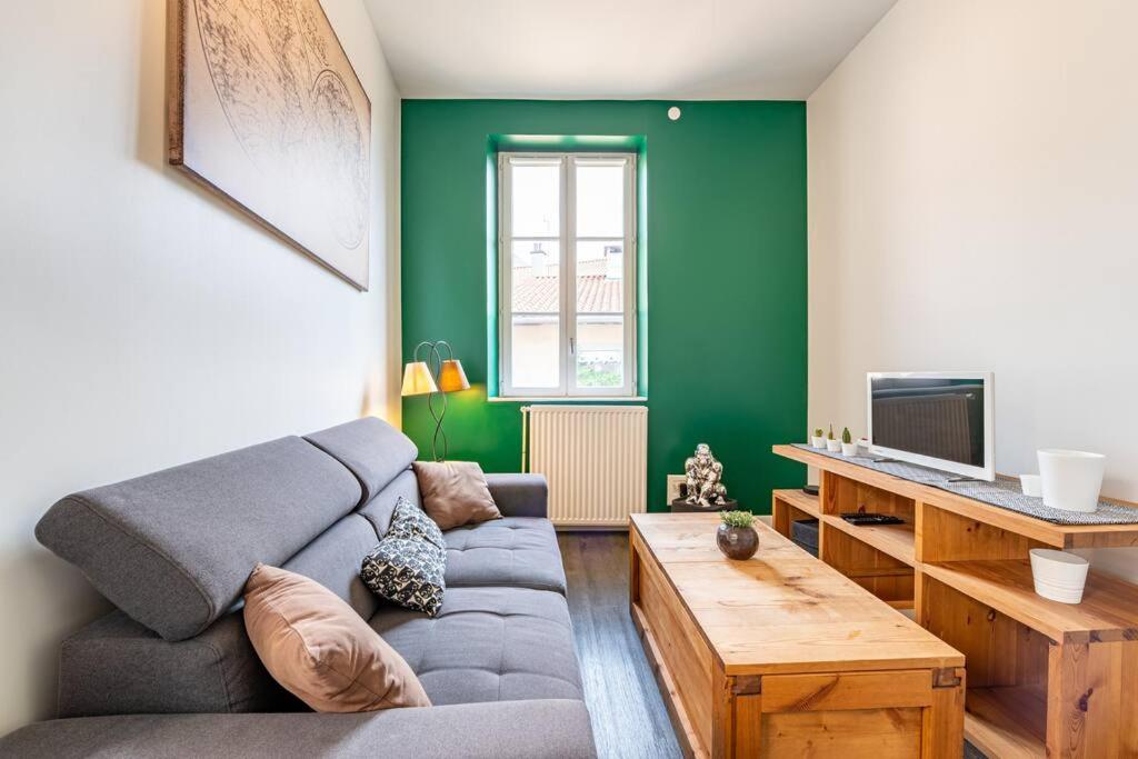 a living room with a gray couch and a green wall at Entre Bastille et hyper-centre: lave-linge - fibre in Grenoble