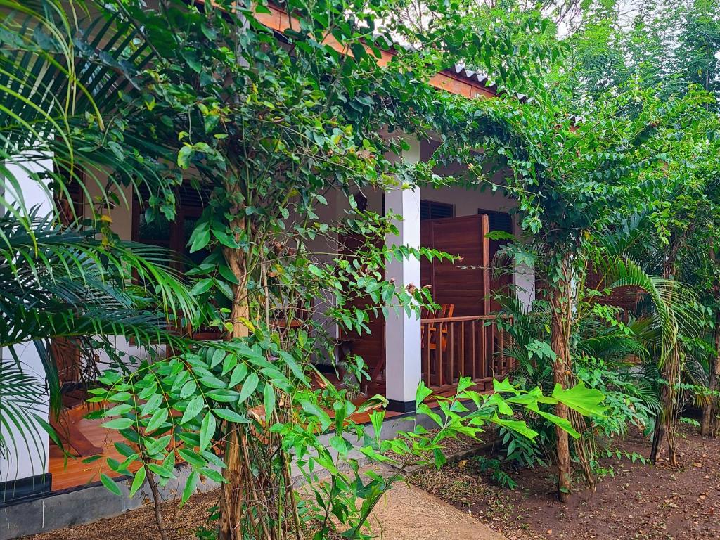 Zahrada ubytování Woodholic Homestay