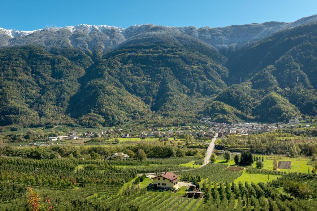 een dorp in een vallei met bergen op de achtergrond bij B&B Ca Tunin in Tirano