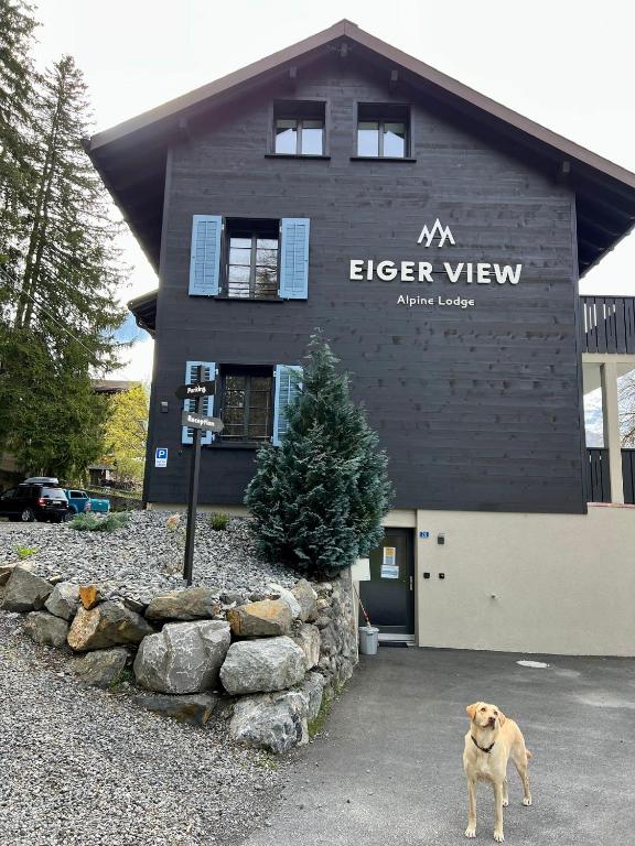 Fotografie z fotogalerie ubytování Eiger View Alpine Lodge v destinaci Grindelwald