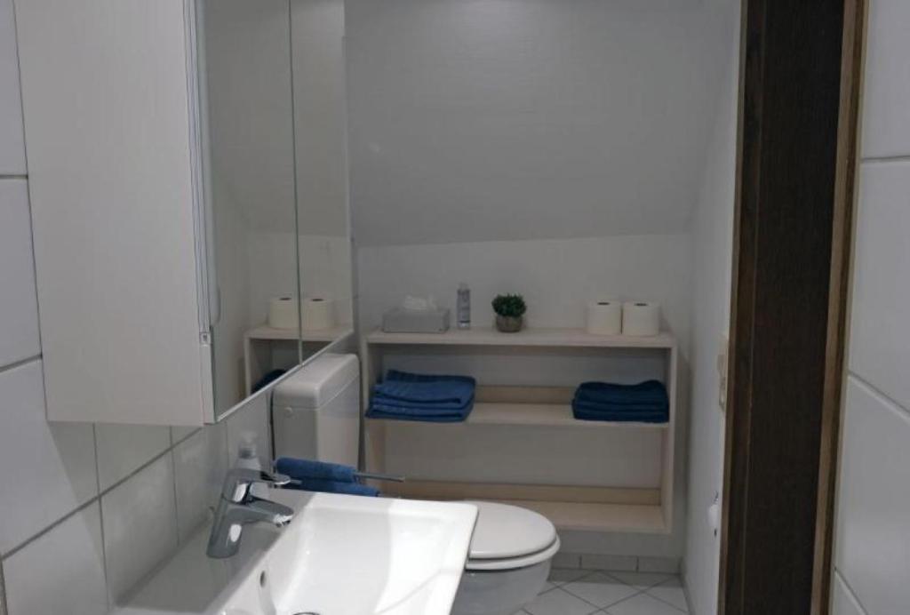 Koupelna v ubytování Ferienwohnung Scheffelhaus