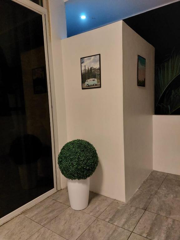 Fotografie z fotogalerie ubytování Bonsai Jacuzzi Suites v destinaci Panglao