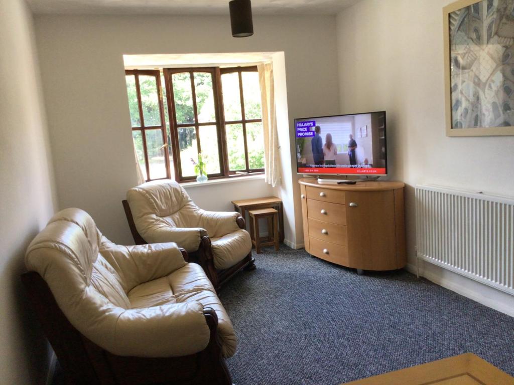 布蘭登的住宿－Cool and cosy，客厅配有两把椅子和电视