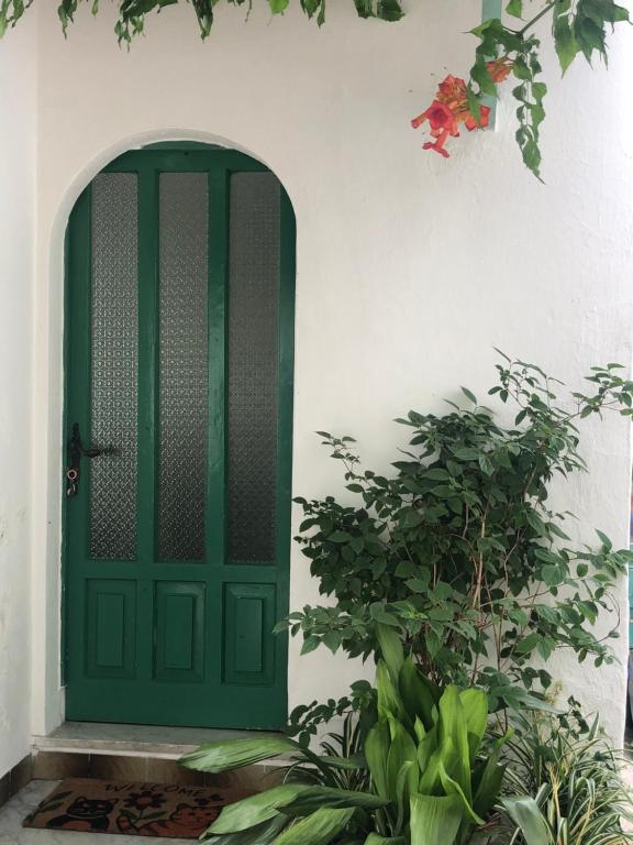 a green door in a white wall with plants at A cas e Rosa in Ischia