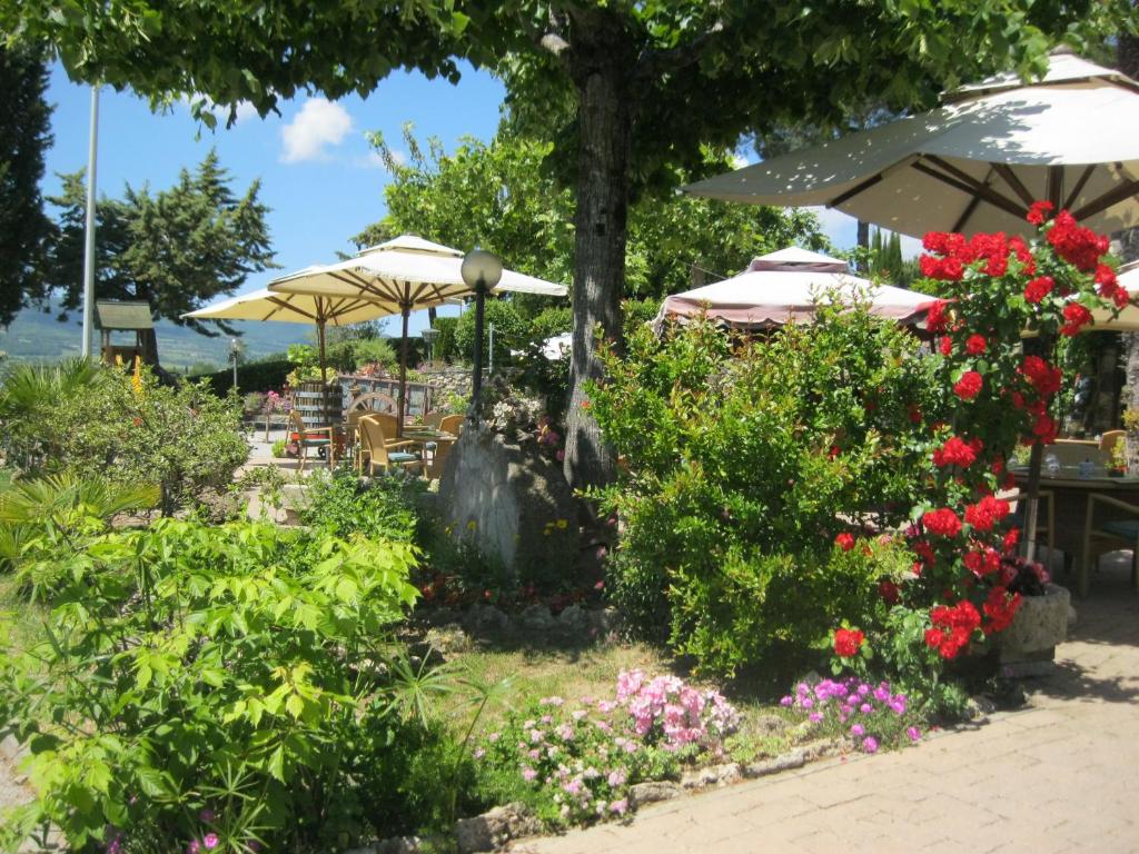 Zahrada ubytování Hotel Rosati