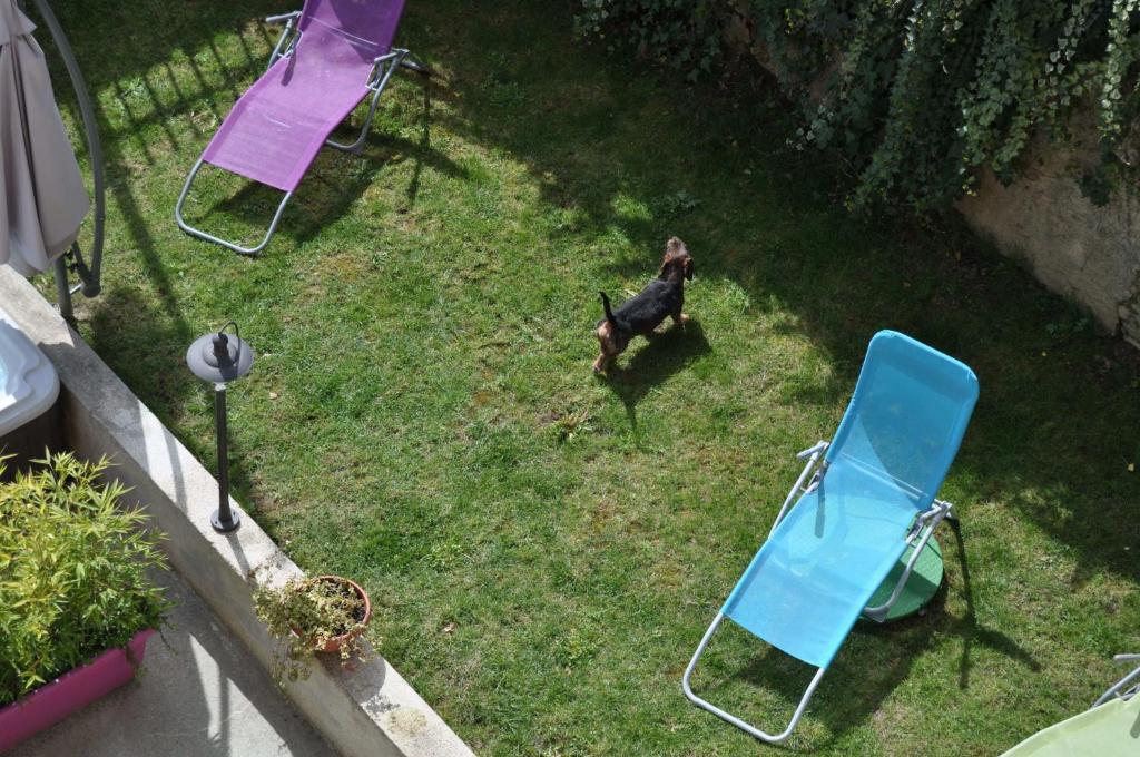 Giardino di Hôtel Le Loft