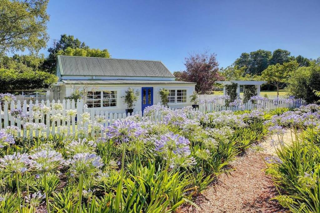 een tuin met paarse bloemen voor een wit huis bij Hideaway Cottage - Your Southern Highlands Escape in Moss Vale