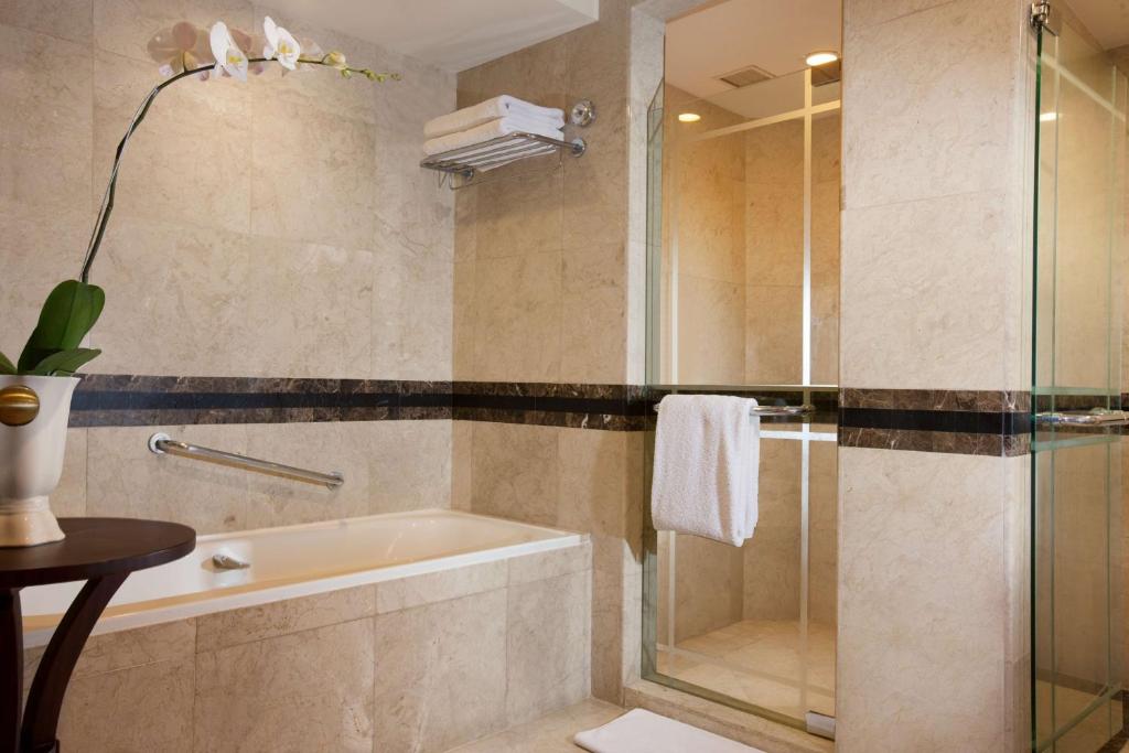 a bathroom with a bath tub and a shower at Hyatt Regency Yogyakarta in Yogyakarta