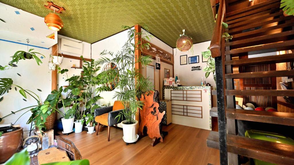 a room with a bunch of plants in it at Hostel Caranashi in Osaka