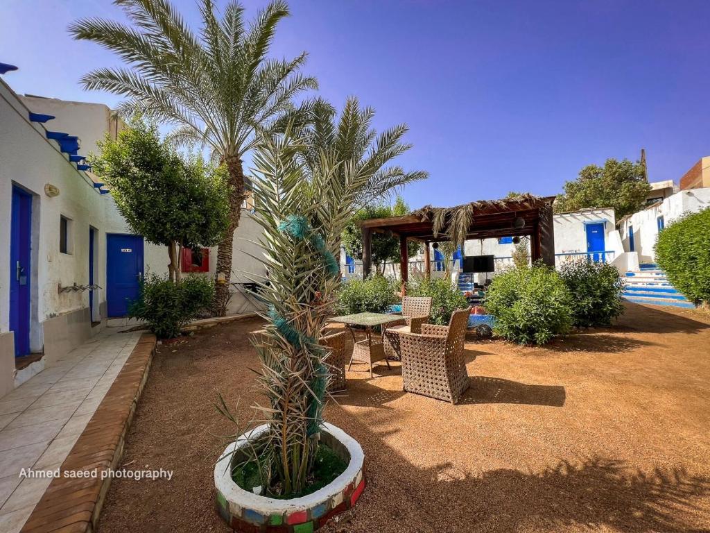 un patio con una mesa, sillas y una palmera en Auski Hostel Dahab en Dahab