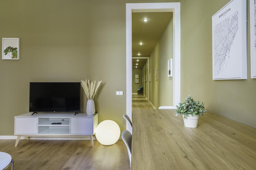 TV a/nebo společenská místnost v ubytování Ola Living Diagonal II Apartments