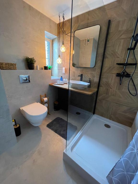 Apartamenty Łuczkowskiego z widokiem na Studnię 2 - 18