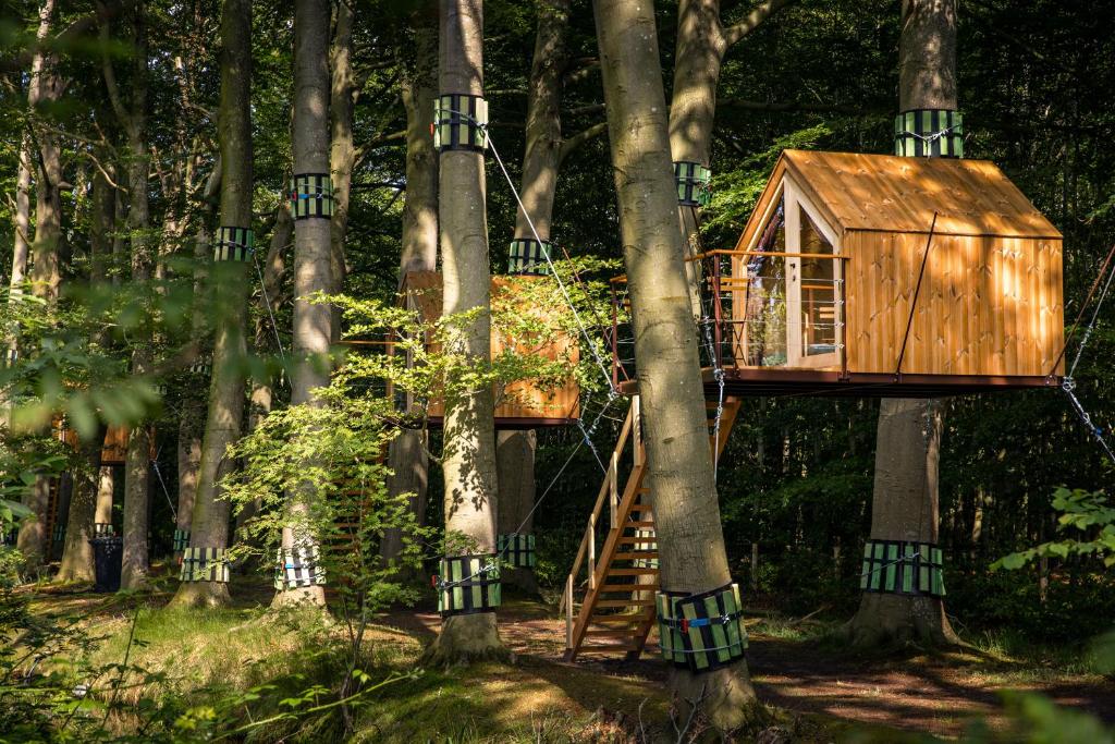 a tree house in the middle of trees at Treehouse 'Morgenrood' Ryckevelde 1451 in Damme