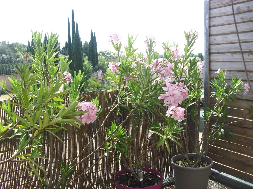 Studio à Deux Pas d'Aix - Resim 28