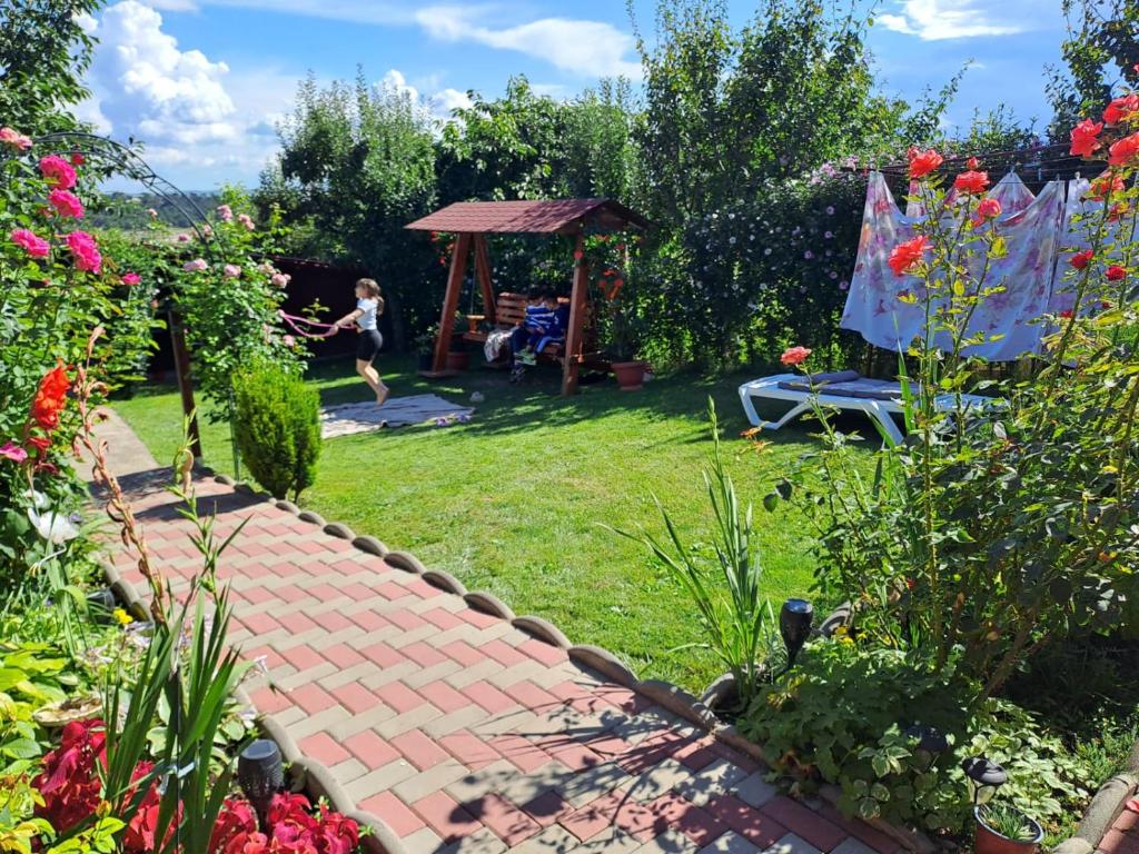 Zahrada ubytování Casa dina