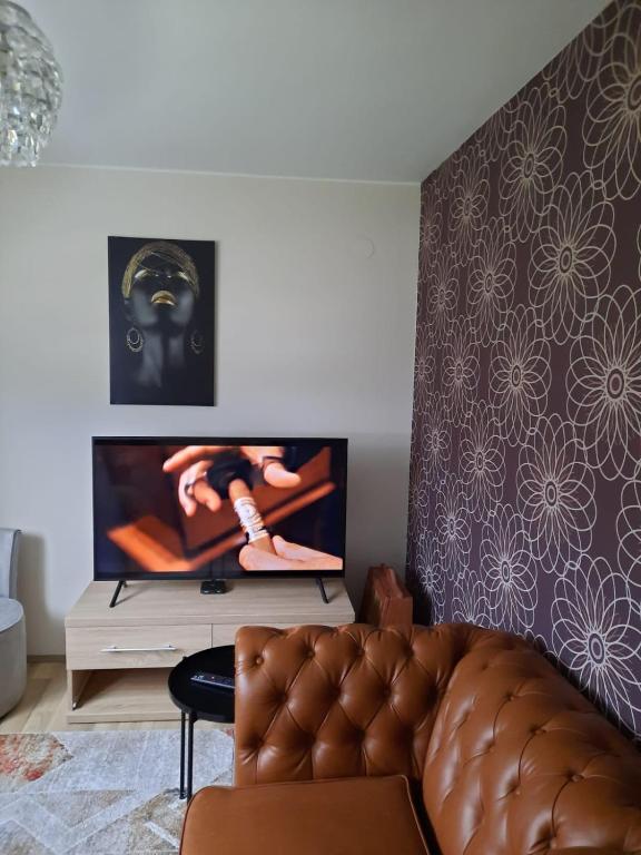 TV a/nebo společenská místnost v ubytování Sunny Funny House