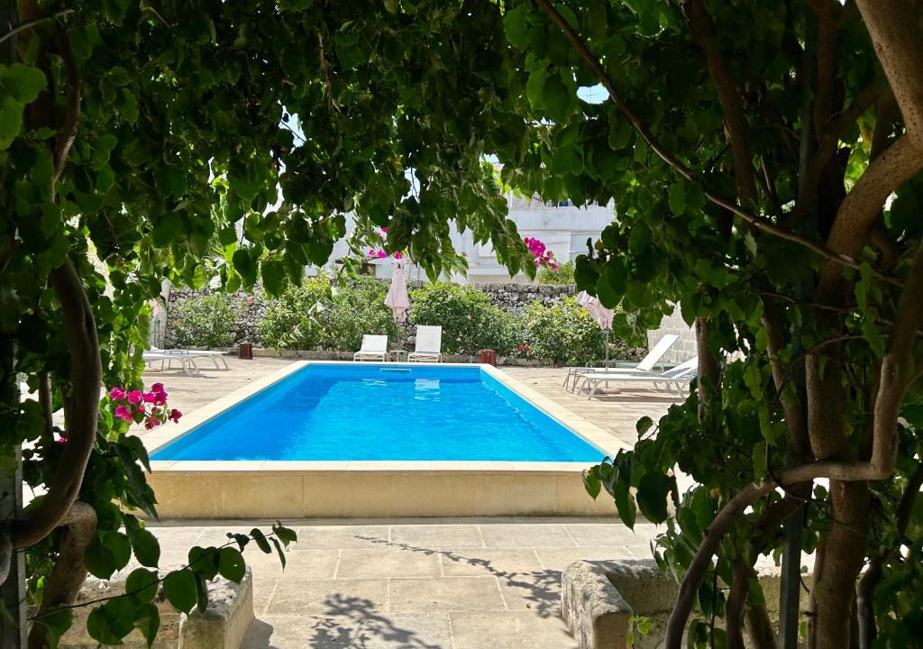 uma piscina rodeada por árvores e flores em B&B Don Alessandro em Surbo