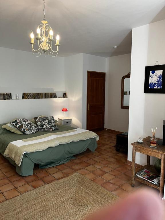una camera con letto e lampadario a braccio di Chambre d'hôtes Dallara a Entraigues-sur-la-Sorgue