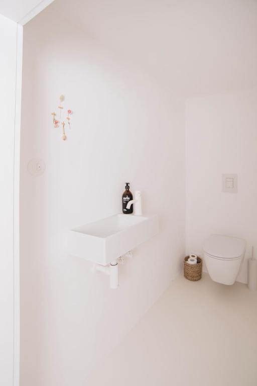 Fotografie z fotogalerie ubytování V Bezovém Údolí v Kryštofově Údolí