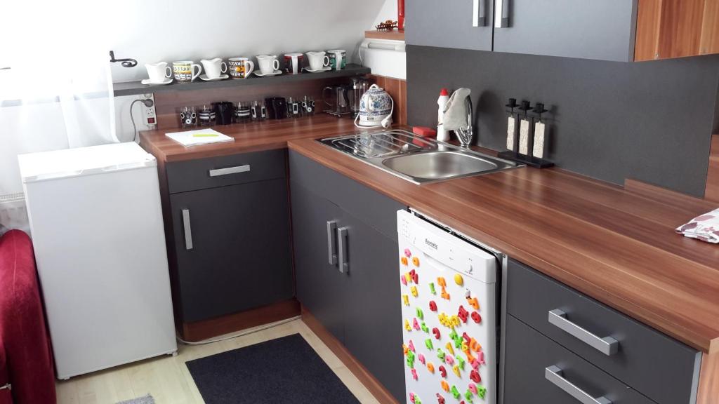 Kuchyň nebo kuchyňský kout v ubytování Homestay Kuchařovice