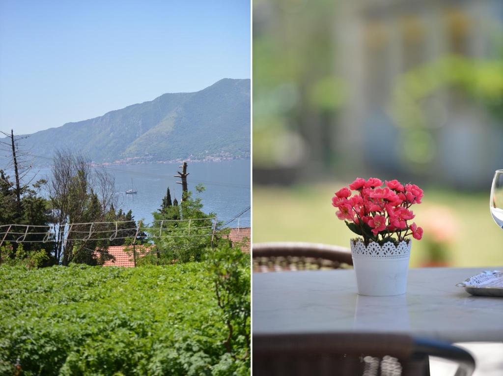 B & M Apartments - 16