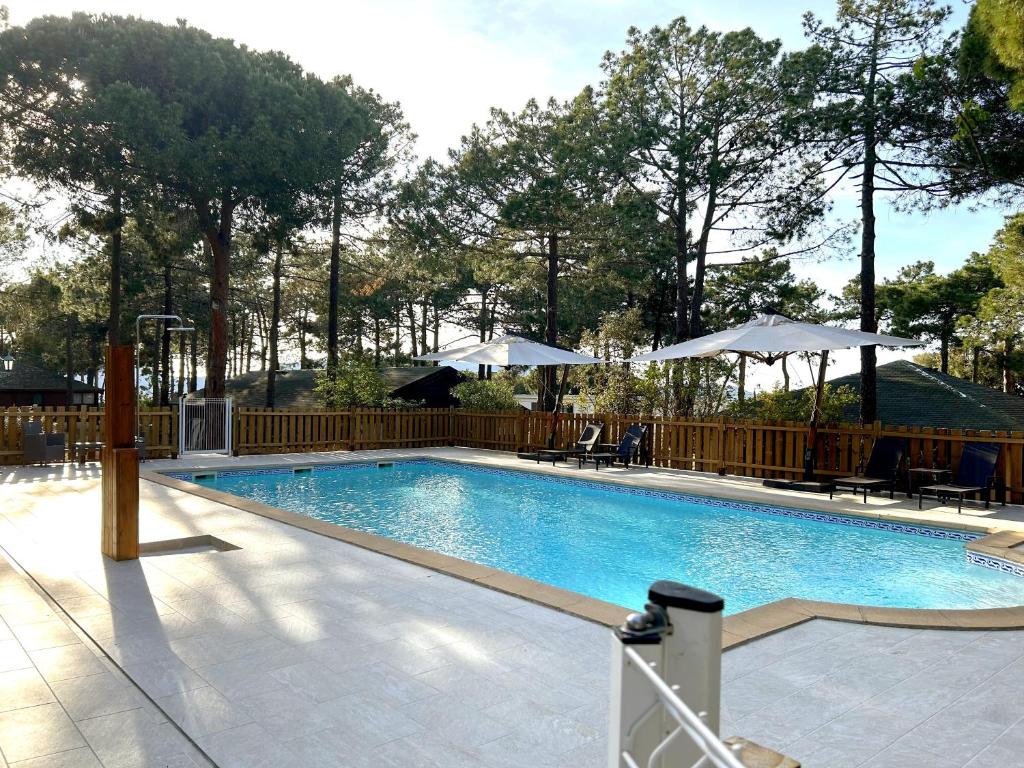 - une piscine avec des chaises et des parasols dans un complexe dans l'établissement Résidence Tramariccia, à Calvi