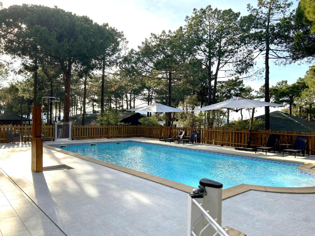 a swimming pool with chairs and umbrellas in a resort at Résidence Tramariccia in Calvi