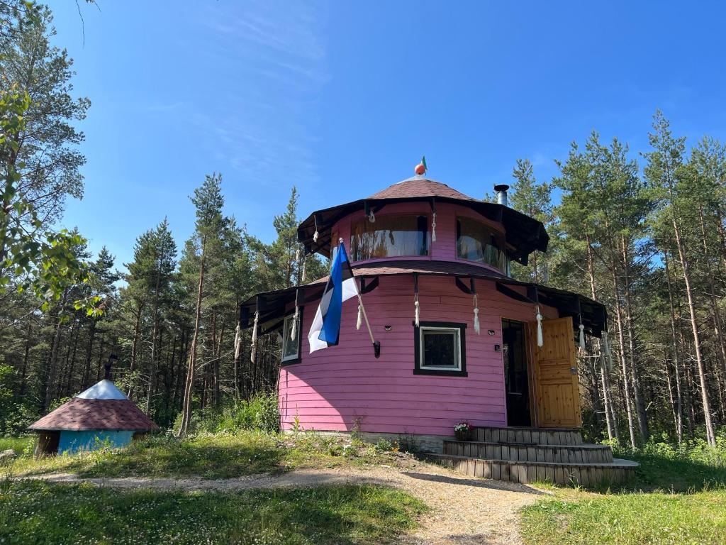 a pink house in the middle of a forest at Roosa maja parvesaunaga in Reigi