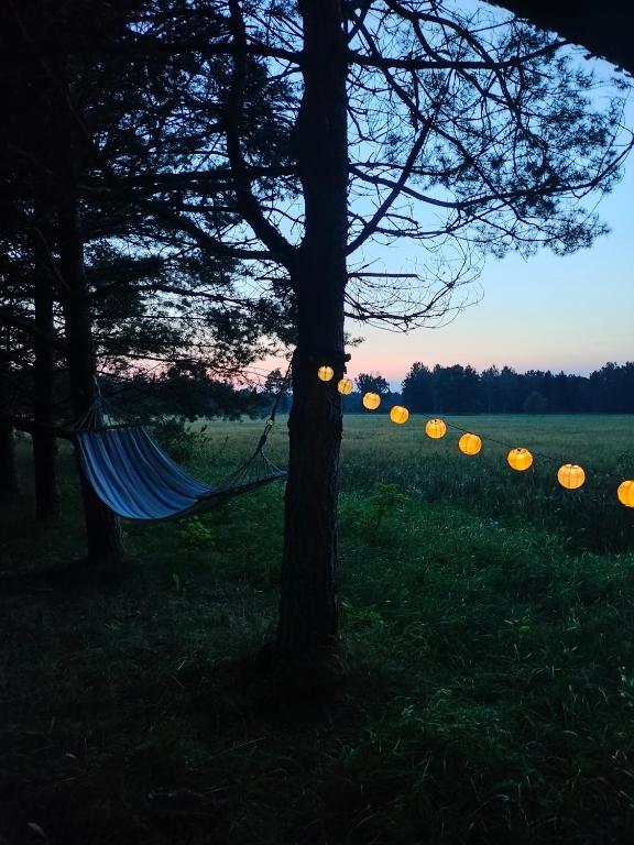 Fotografie z fotogalerie ubytování Metsatuule puhkeküla v destinaci Hiiumaa