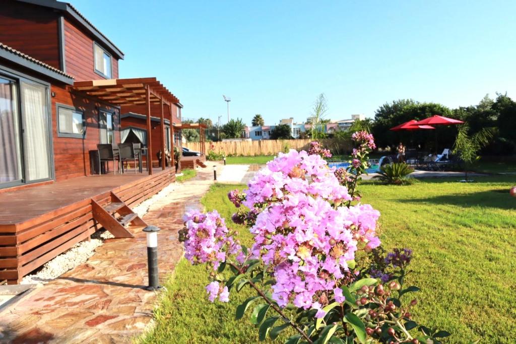 a garden with pink flowers next to a house at Cebel Tiny House&Bungalovs in Kemer