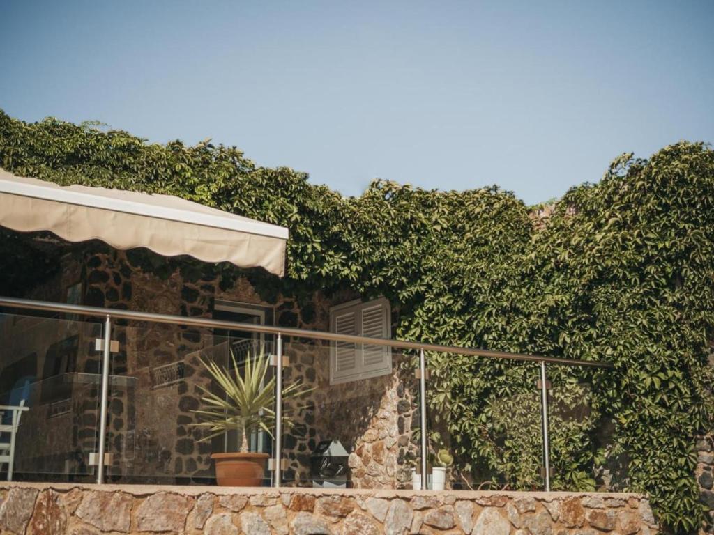 fira blue horizon - 12