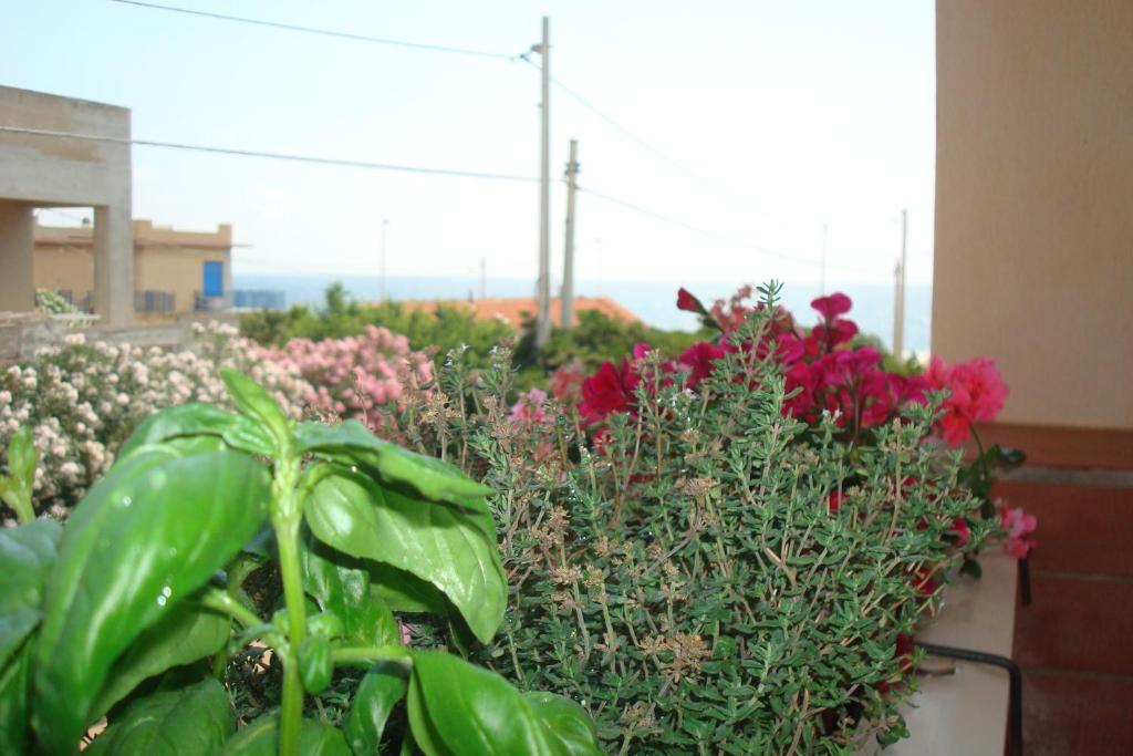 Zahrada ubytování Cala Bernardo Apartment