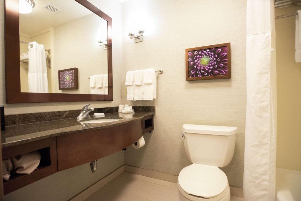 Hilton Garden Inn Covington/Mandeville - Camera King Evoluzione