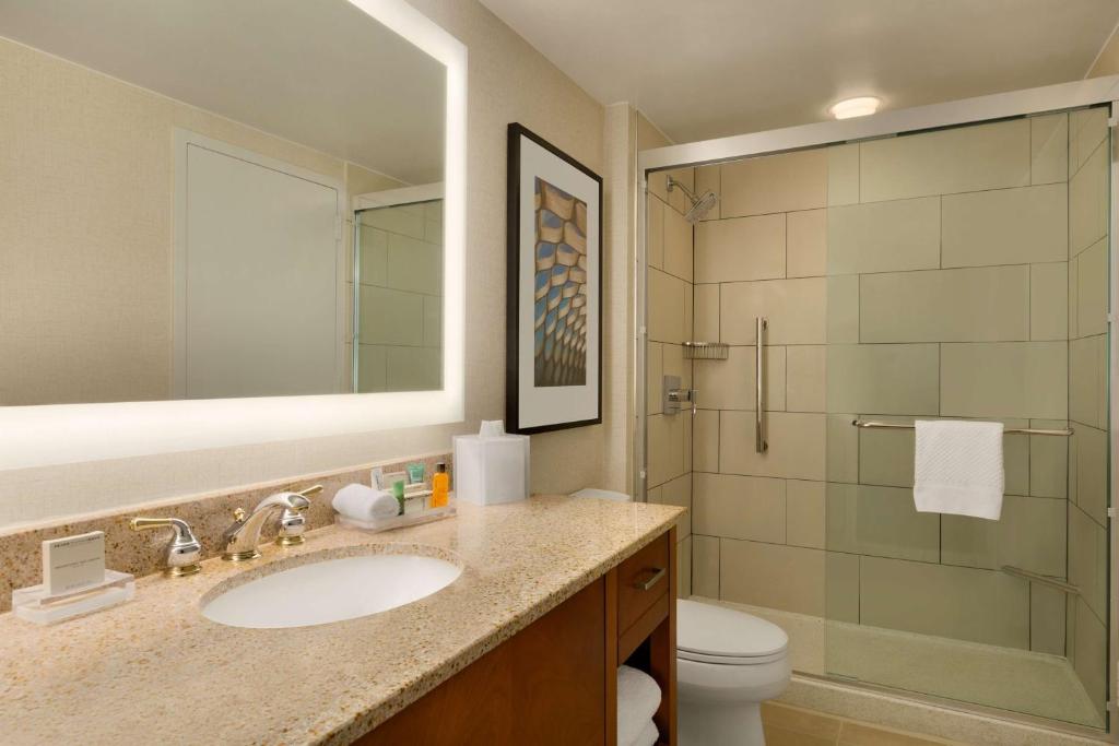 Hilton Chicago Magnificent Mile Suites - 