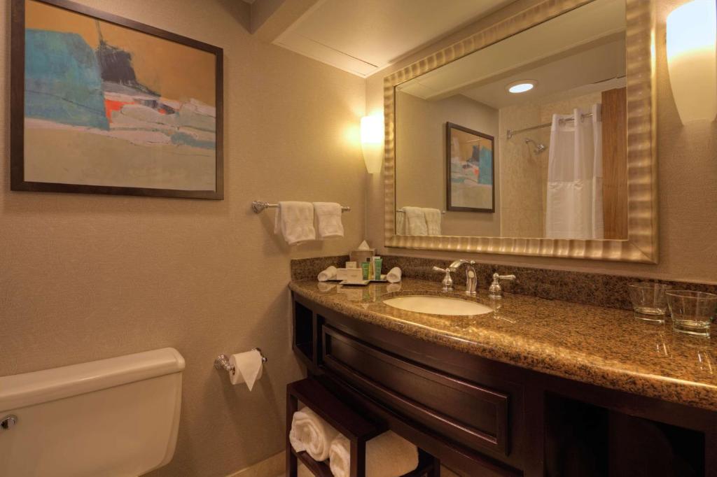 Hilton Houston Westchase - Camera King Con Divano Letto - Non Fumatori