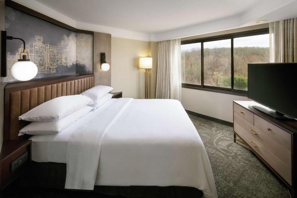 Embassy Suites Tysons Corner - キングスイート - 禁煙