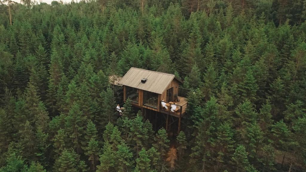 uma vista aérea de uma casa na árvore no meio de uma floresta em Hyssna Forest Resort em Hyssna