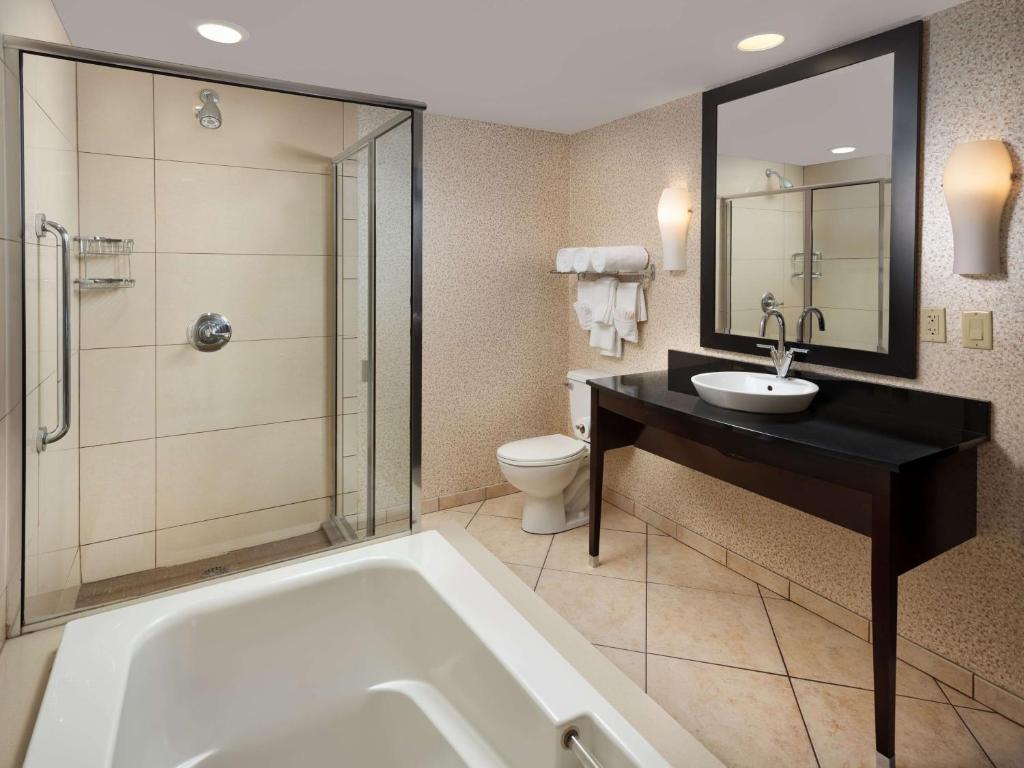 DoubleTree by Hilton Hotel Chattanooga Downtown - 
