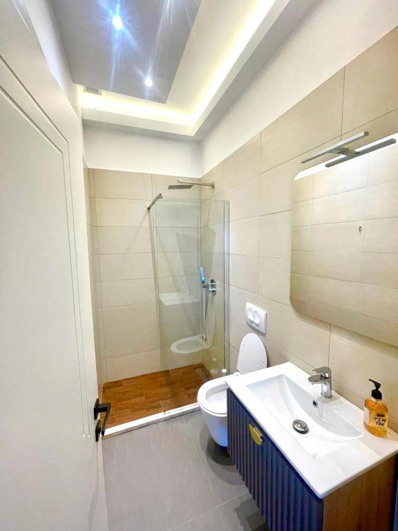Koupelna v ubytování Alb Apartments