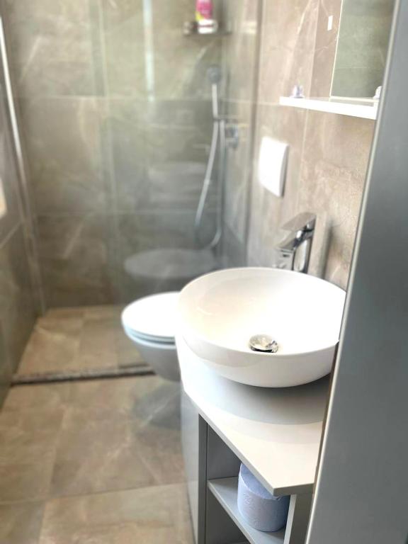 Koupelna v ubytování Alb Apartments