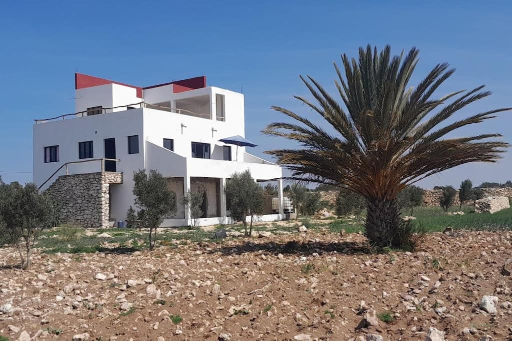 uma casa branca com uma palmeira em frente em La Villa Tamazirt, Sidi Kaouki em Essaouira