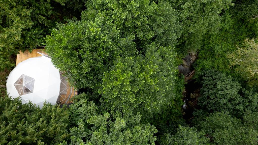 an overhead view of a white dome in the trees at Loft inn in Makhunts'et'i