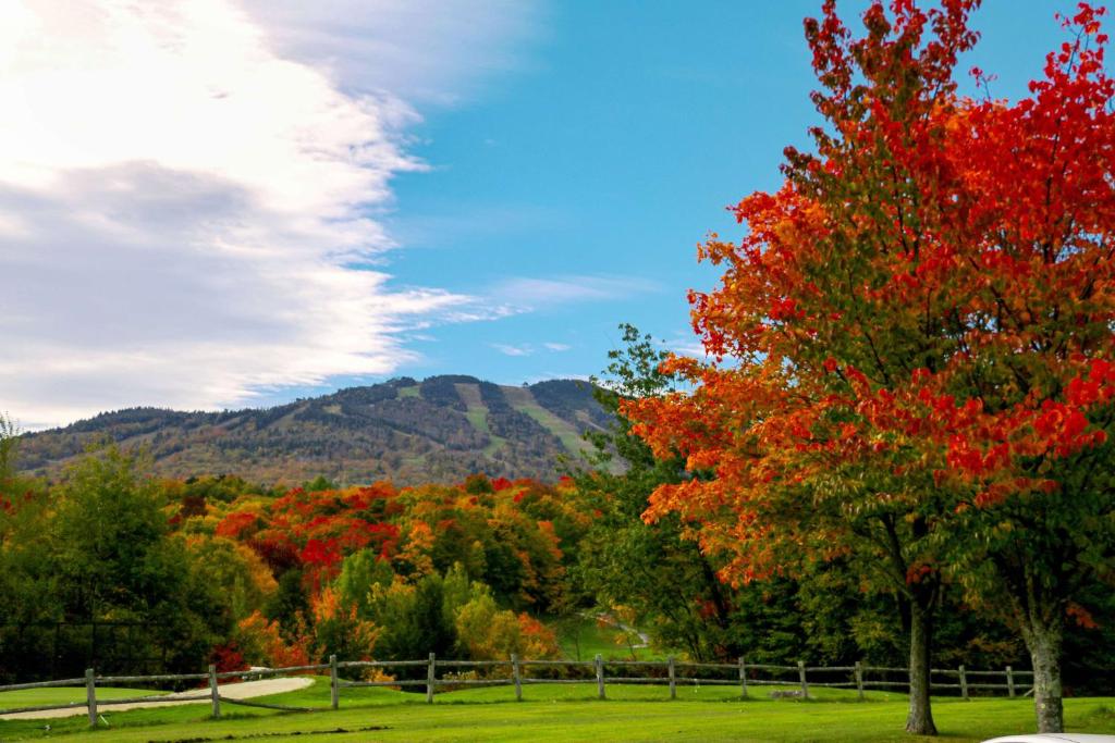 Killington Mountain Lodge, Tapestry Collection by Hilton photo