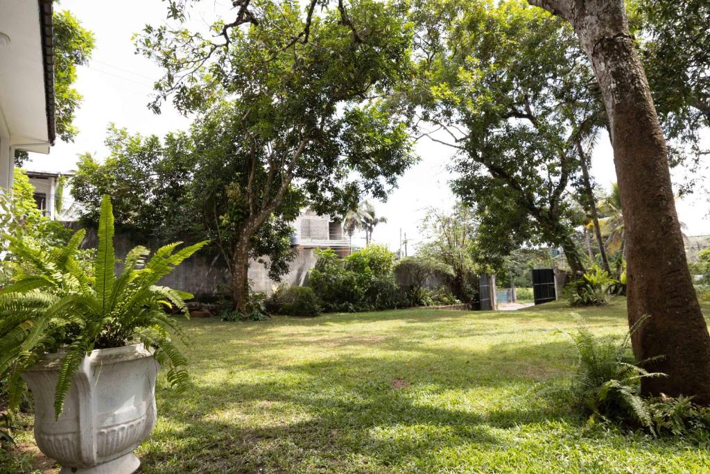 un patio con un árbol y una casa en Lotus Heritage Homagama, en Homagama