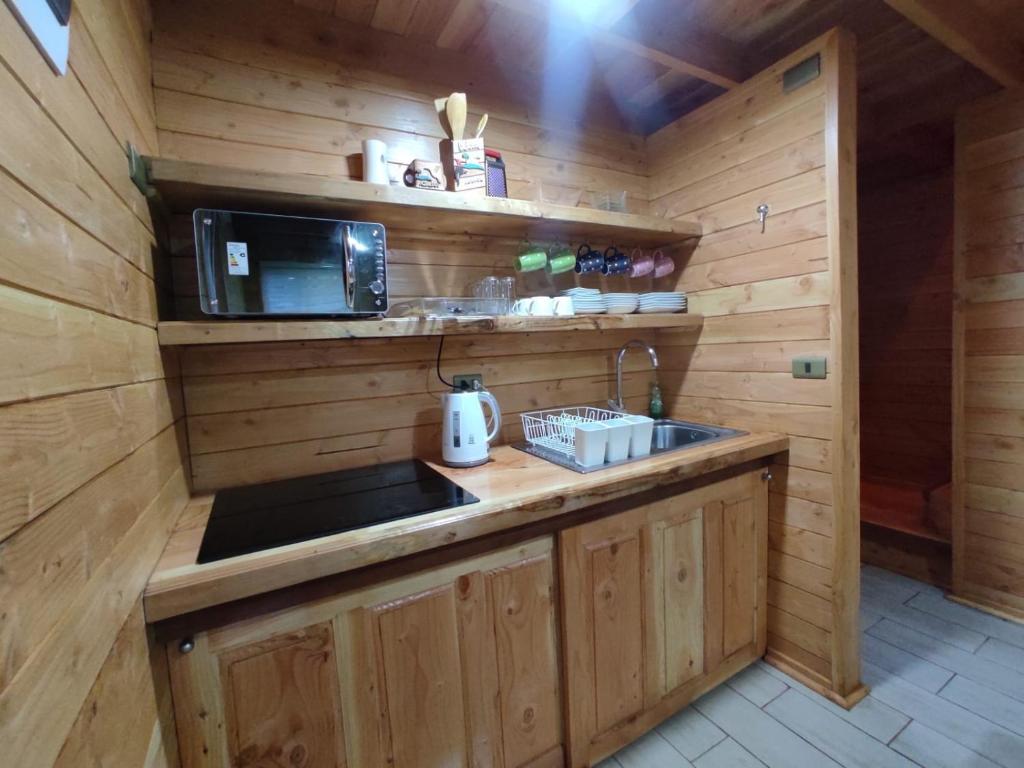 a kitchen with a sink and a microwave in a cabin at Cabaña Los Alerces in Licán Ray