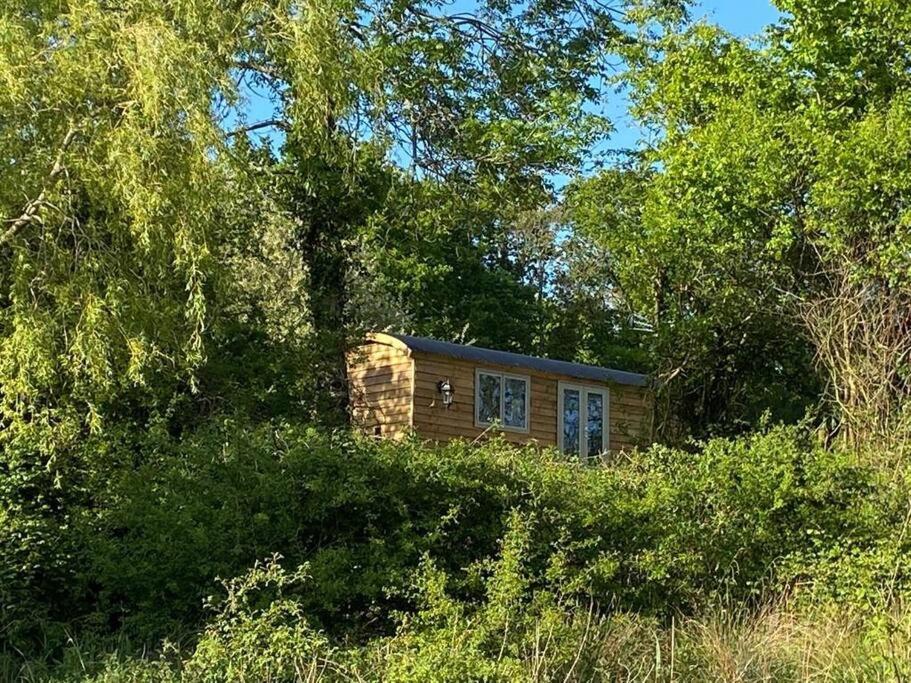 a small house in the middle of some trees at Drakes Mead Retreat - Shepherd's Hut in Axminster